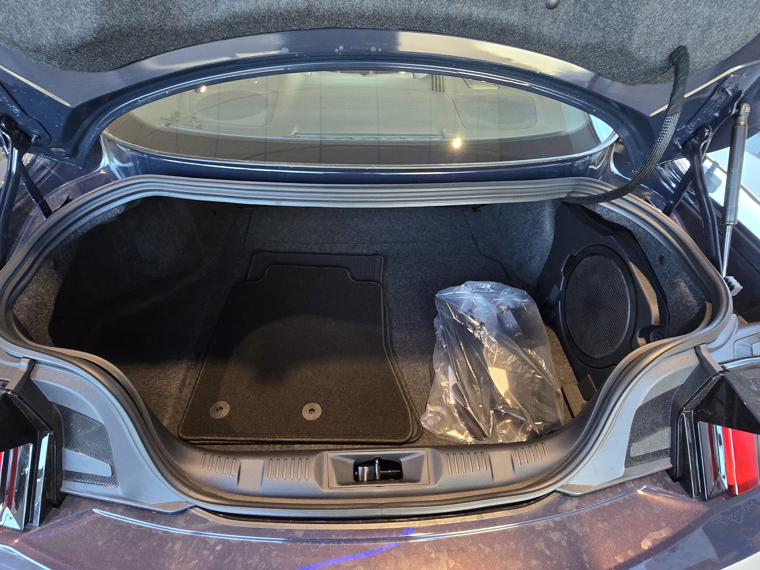 2025 Ford Mustang Dark Horse Deluxe photo 3