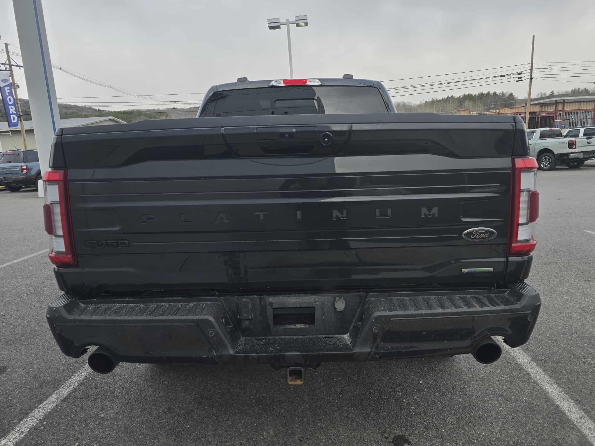 2023 Ford F-150 Platinum photo 4