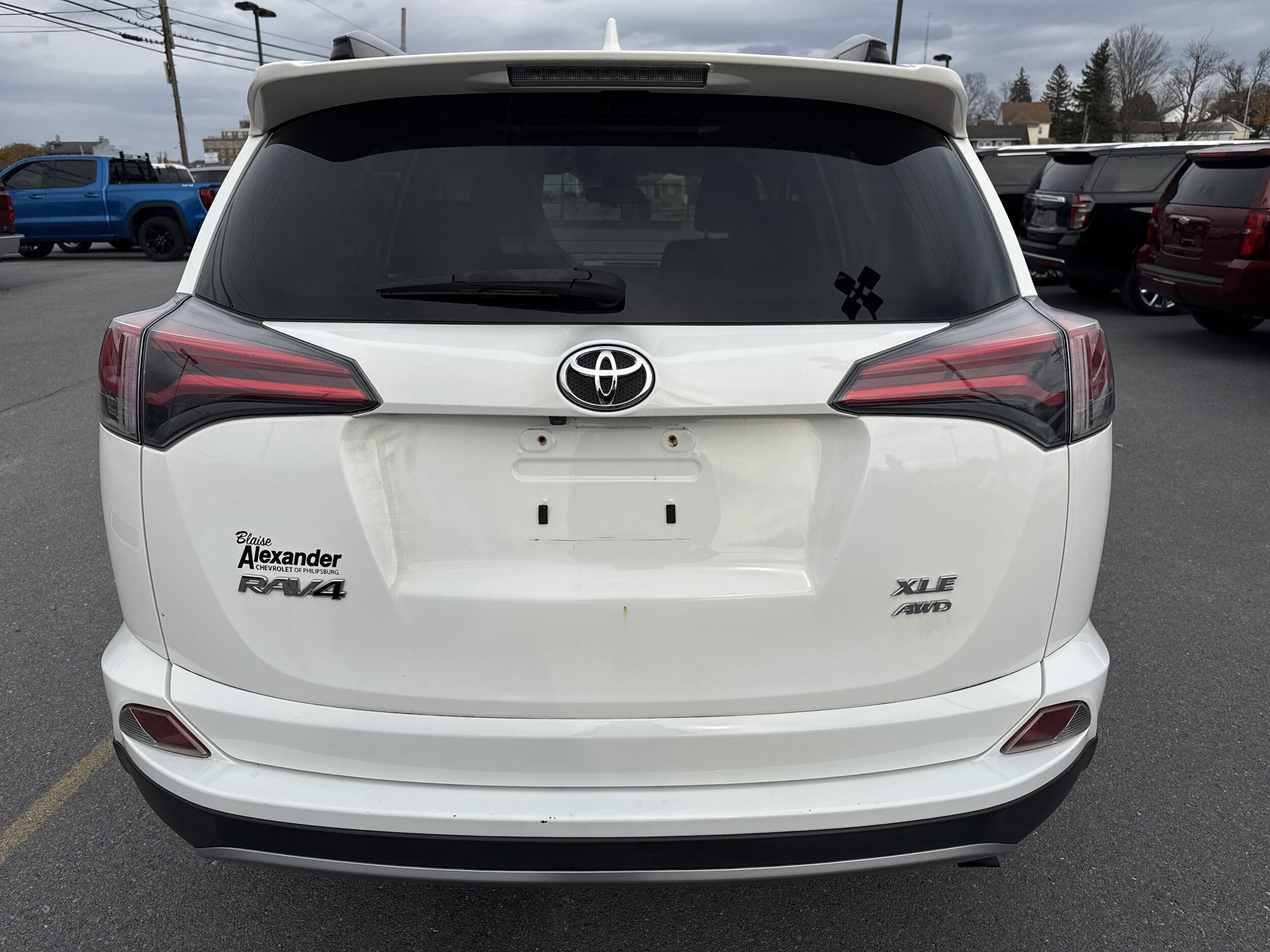 2018 Toyota RAV4 XLE photo 3