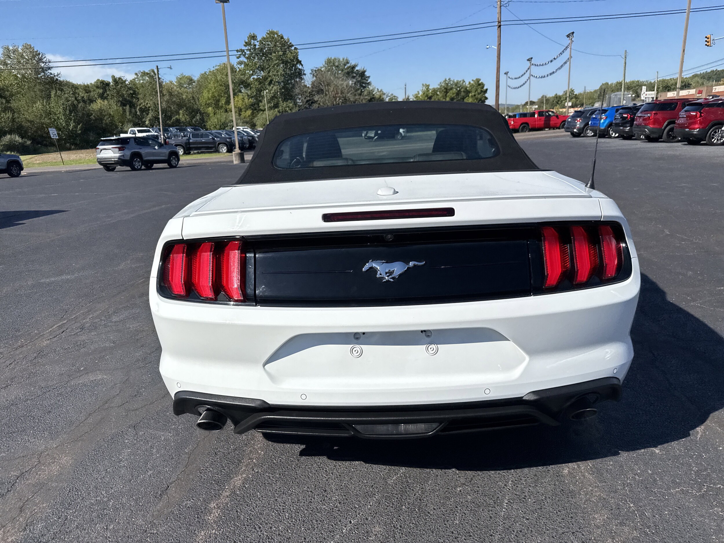 2023 Ford Mustang EcoBoost Premium photo 4