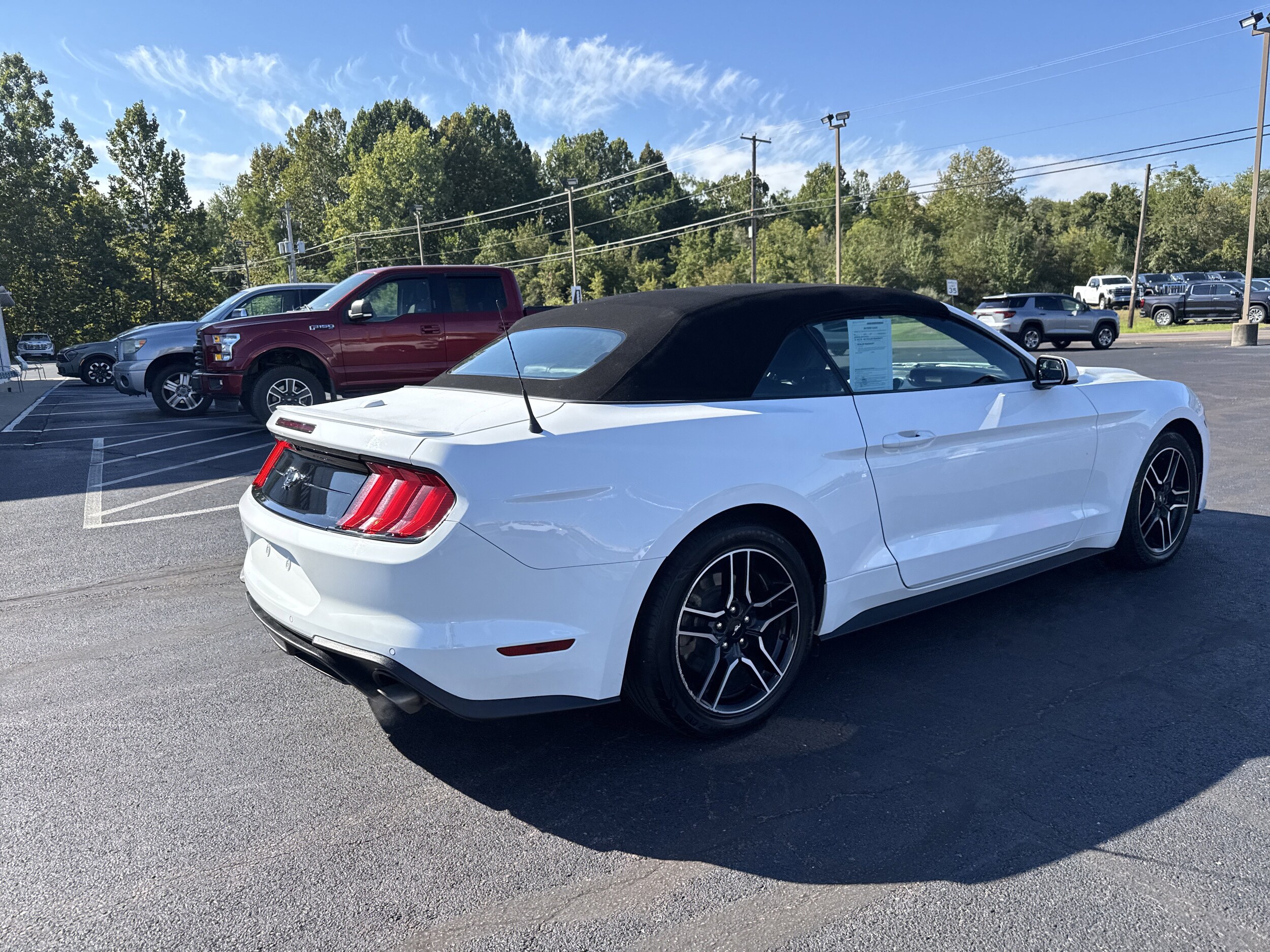2023 Ford Mustang EcoBoost Premium photo 3