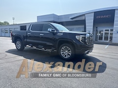 2025 GMC Sierra 1500 Denali Truck Crew Cab