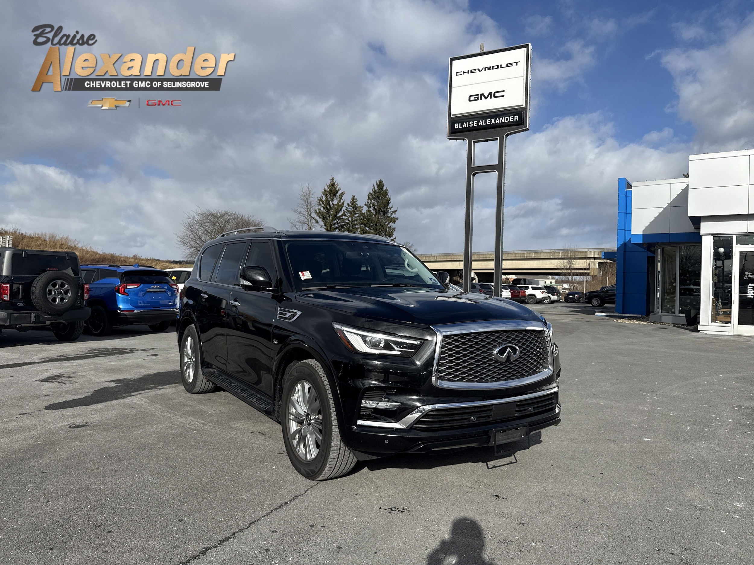 2019 INFINITI QX80's photo