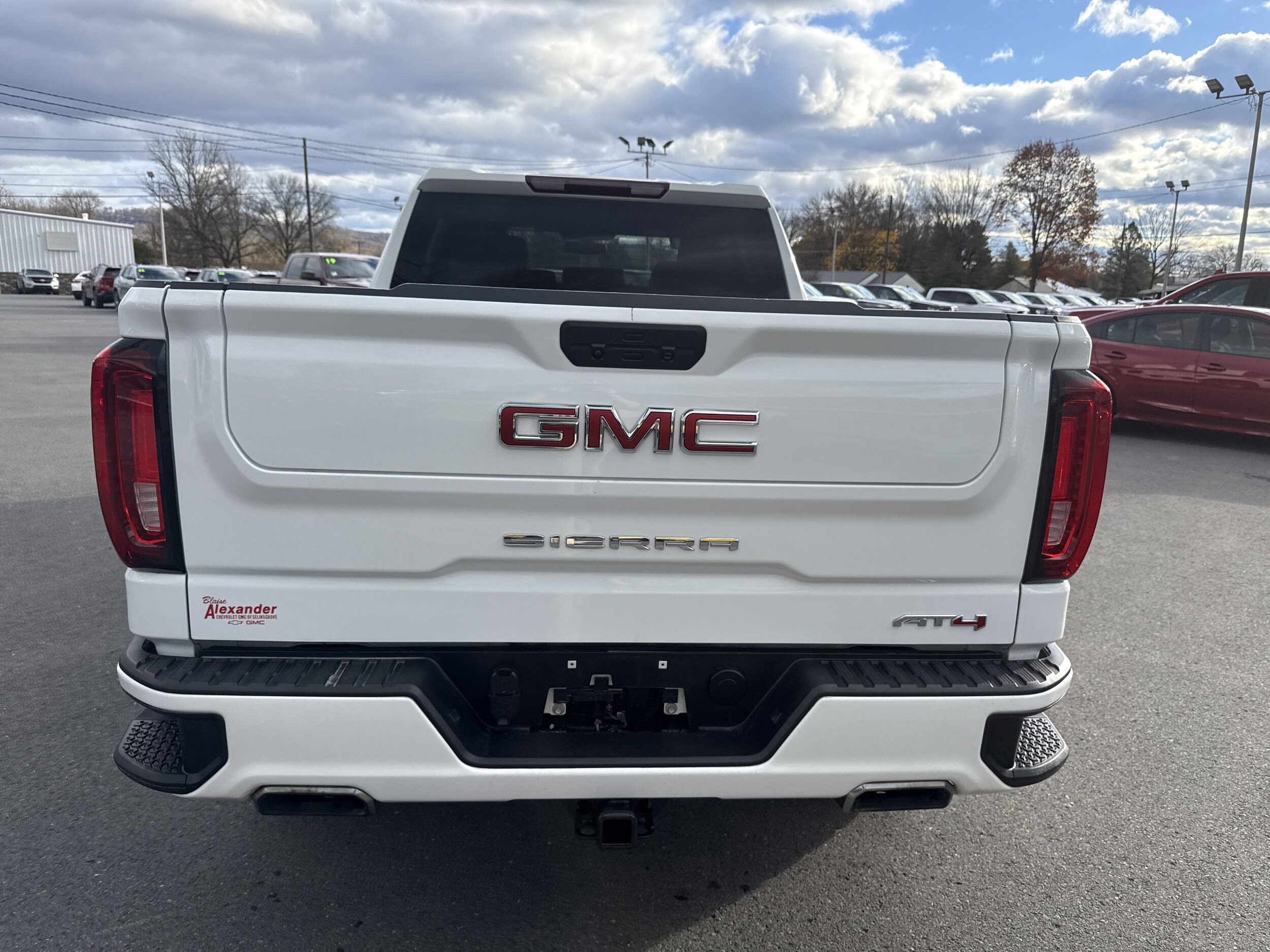 2021 Gmc Sierra 1500 AT4 photo 3