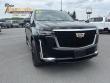 Used 2023 CADILLAC Escalade Premium Luxury SUV