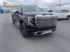 2025 GMC Sierra 1500 Denali Truck Crew Cab