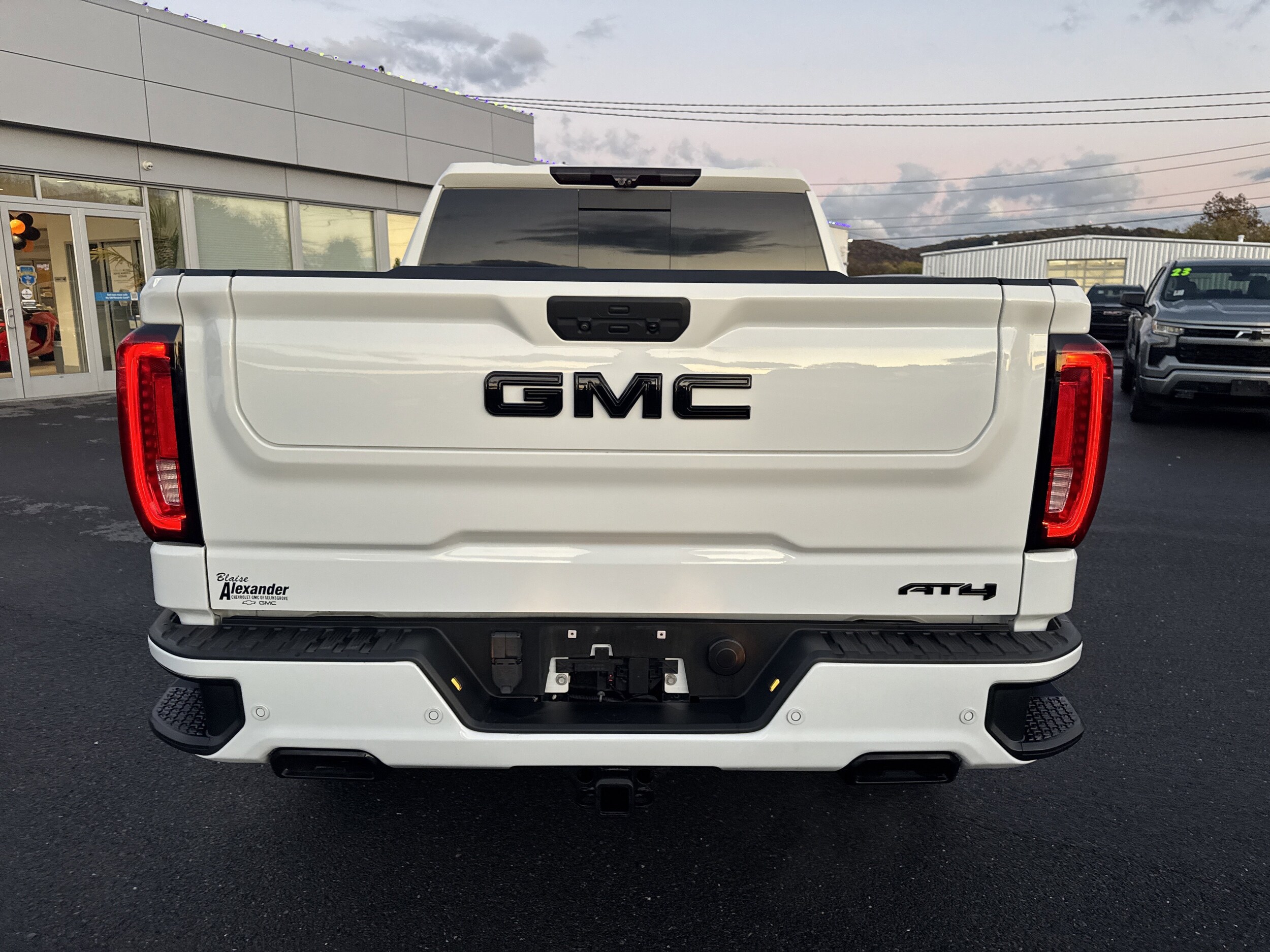 2021 Gmc Sierra 1500 AT4 photo 4