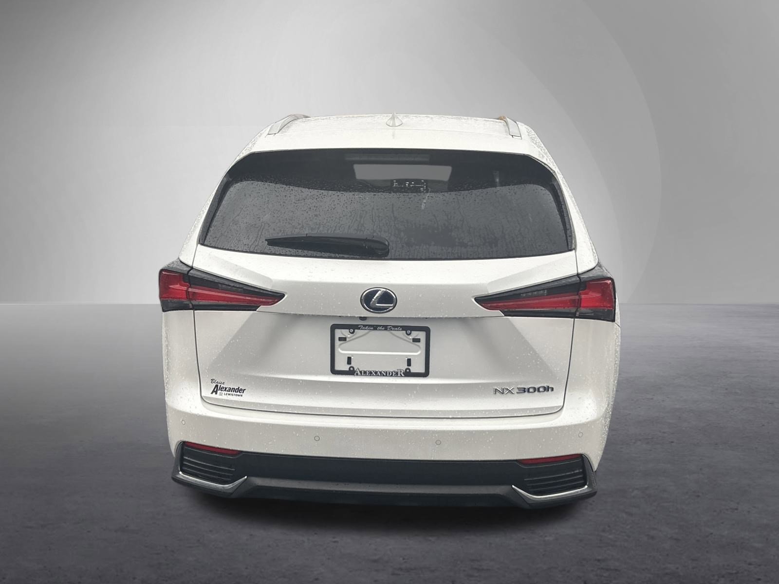 2021 Lexus NX 300h photo 2