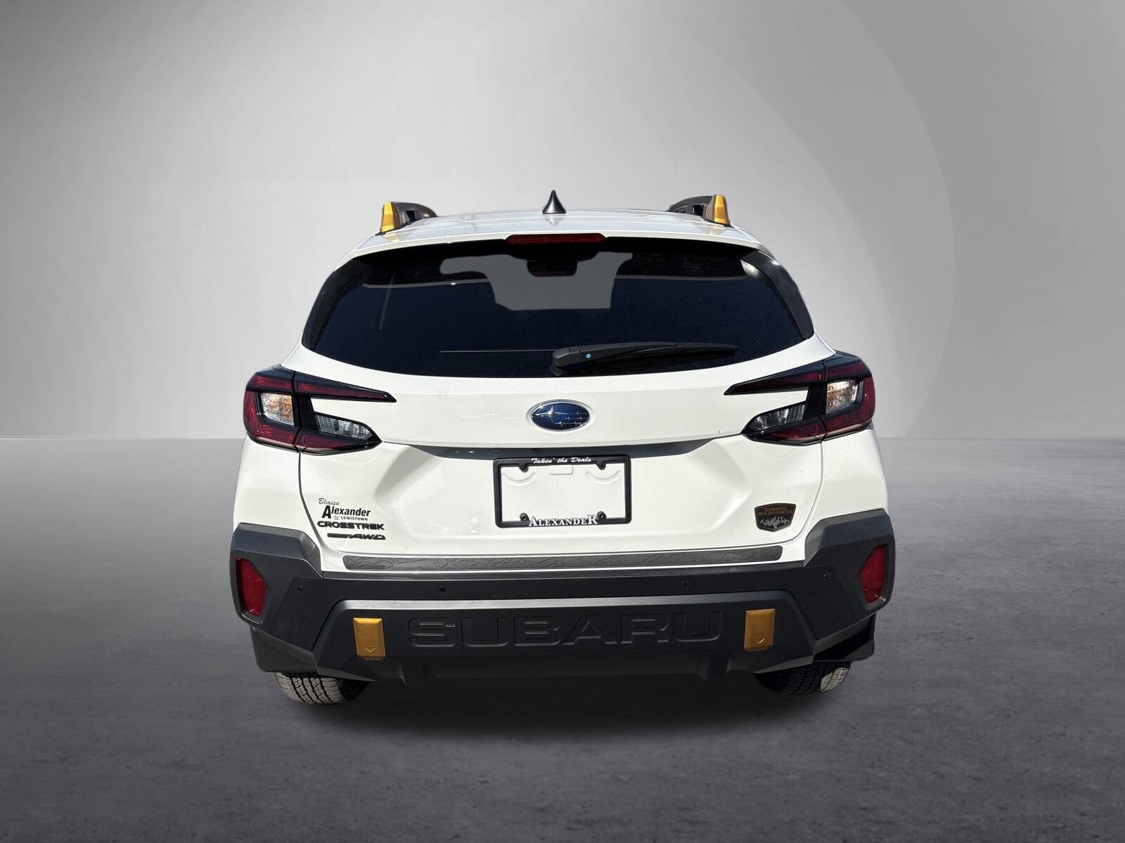 2025 Subaru Crosstrek Wilderness photo 4
