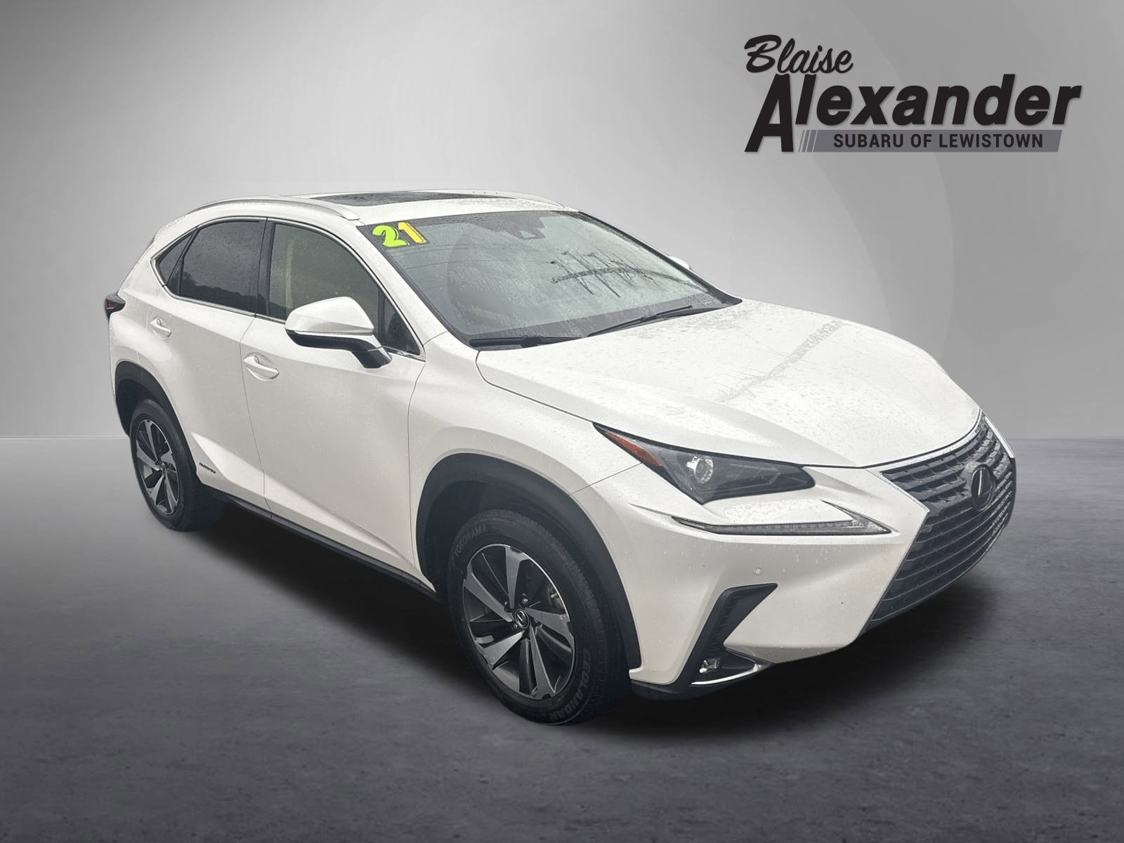 2021 Lexus NX Hybrid 300h's photo