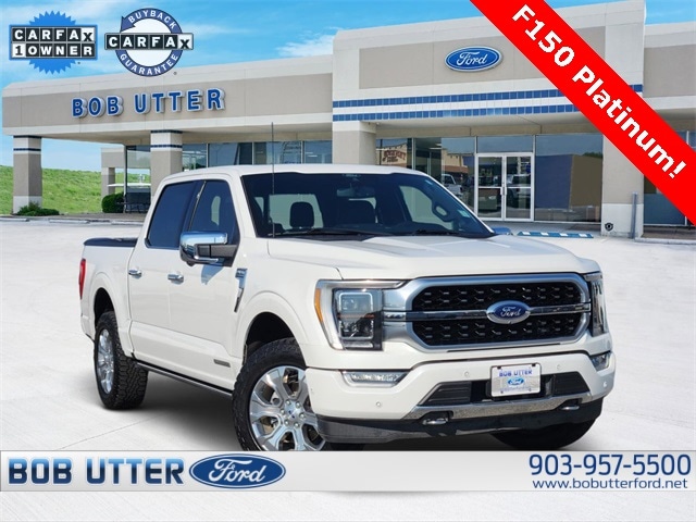 2022 Ford F-150 Platinum's photo