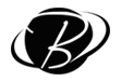 Bland's Truck & Cars Inc.
