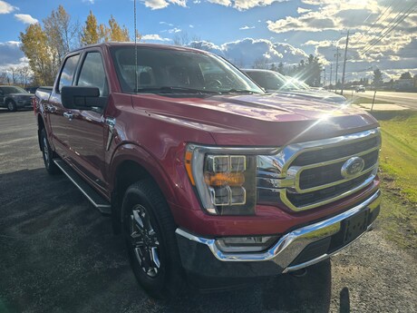 2022 Ford F-150 Crew Cab Short Bed Truck