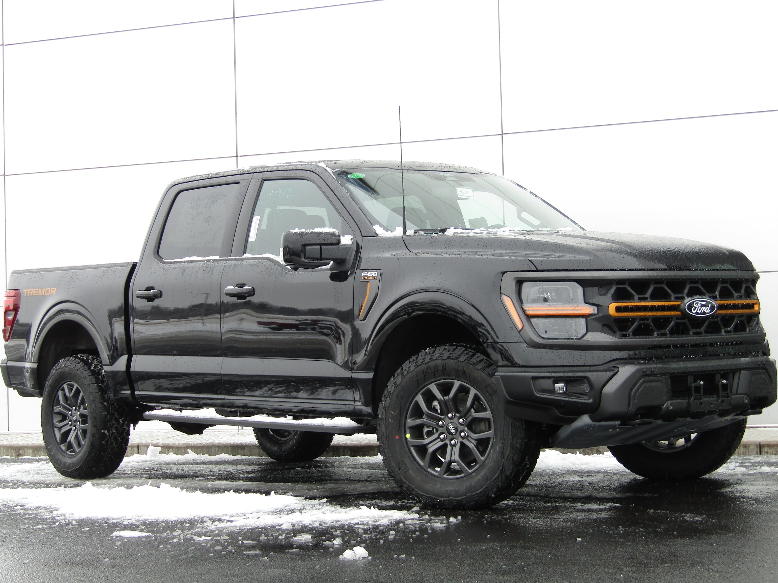 2025 Ford F-150 Tremor's photo