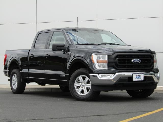 2022 Ford F-150's photo