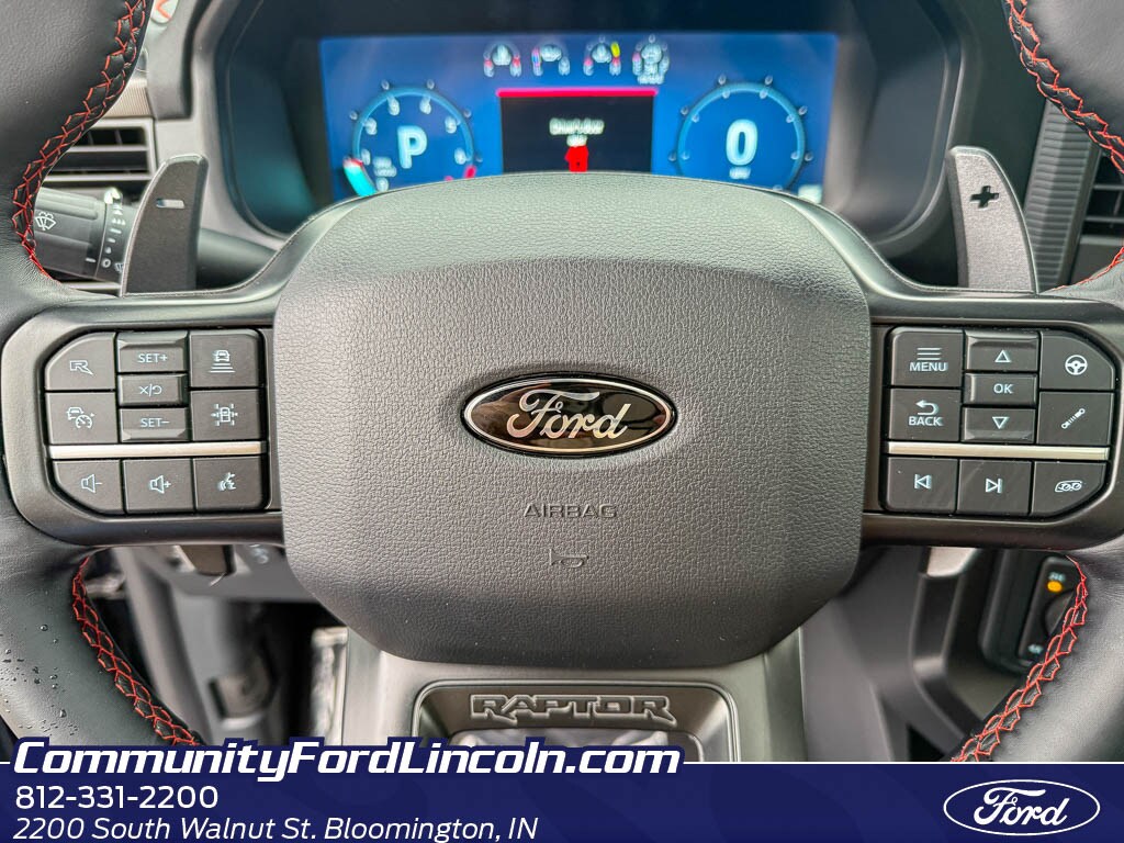 2025 Ford F-150 Raptor - Photo 14