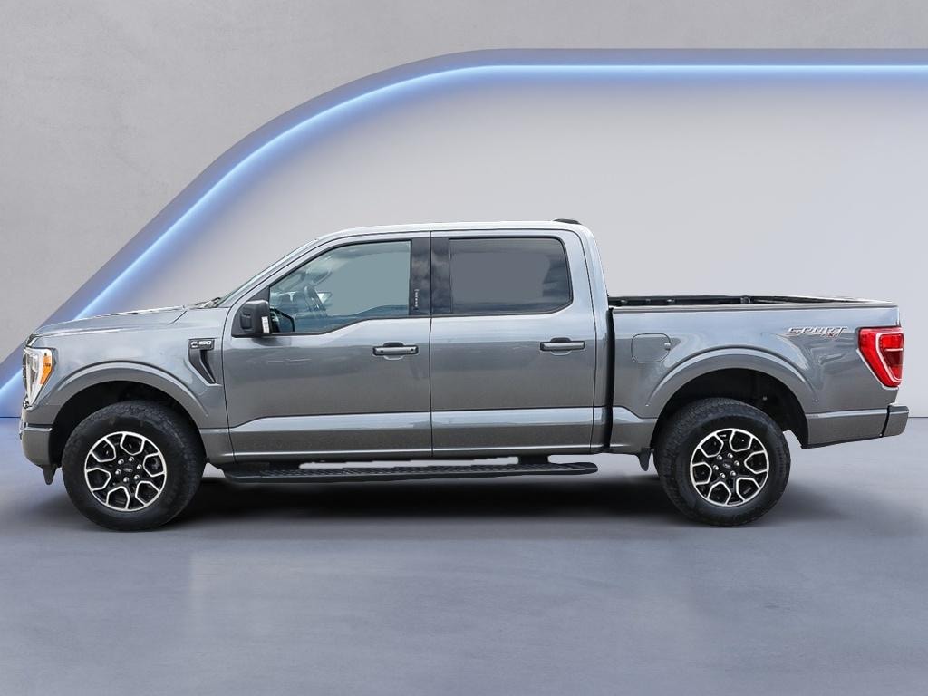 Used 2023 Ford F-150 XLT Crew Cab