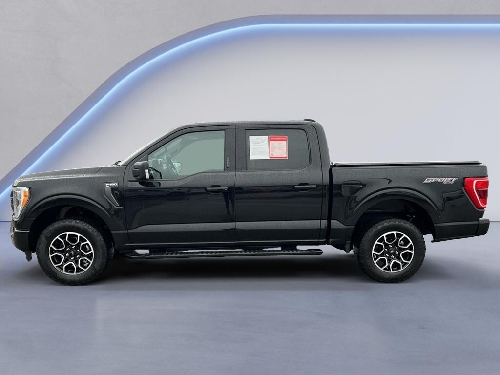 Used 2023 Ford F-150 XLT Crew Cab
