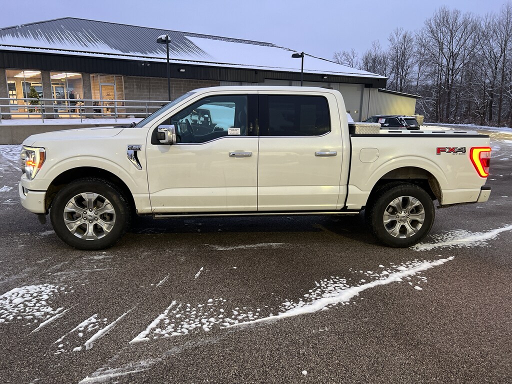 2021 Ford F-150 Platinum photo 4
