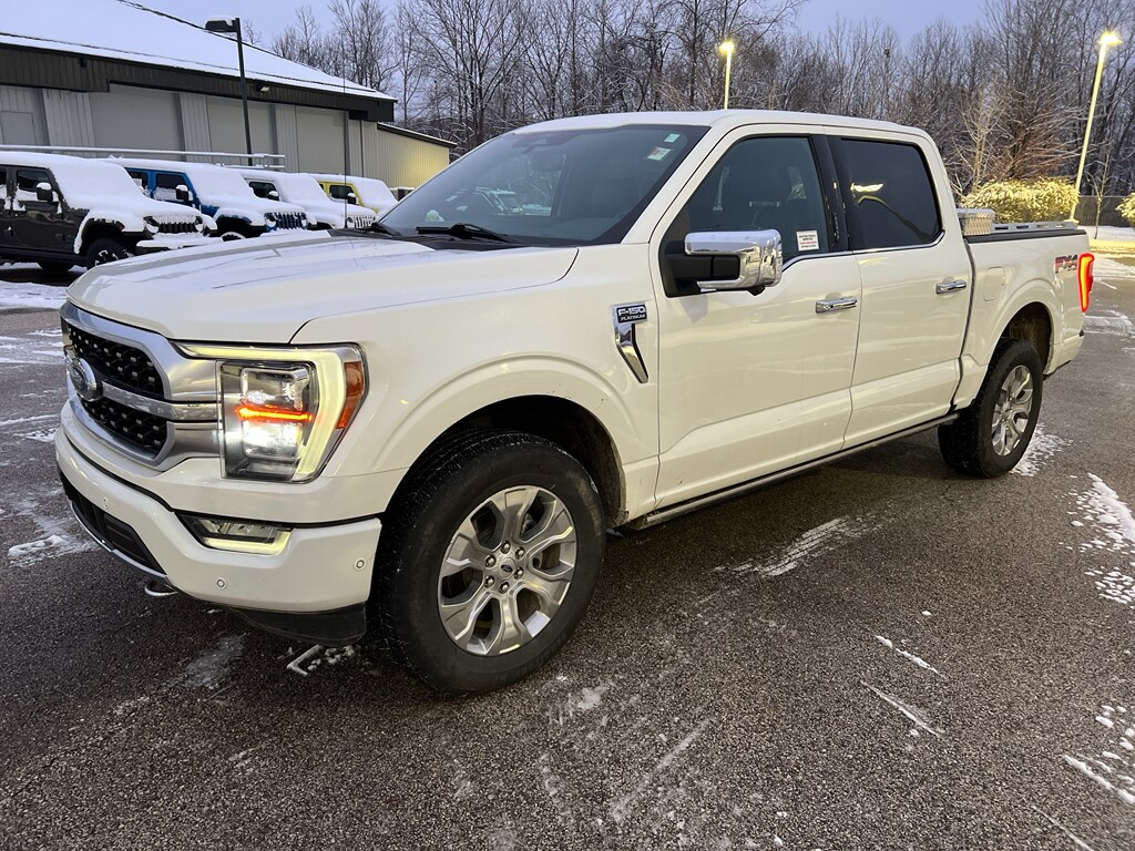 2021 Ford F-150 Platinum photo 3