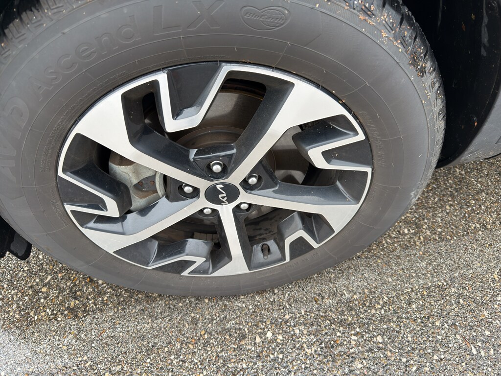 Used 2023 Kia Sportage EX Sport Utility