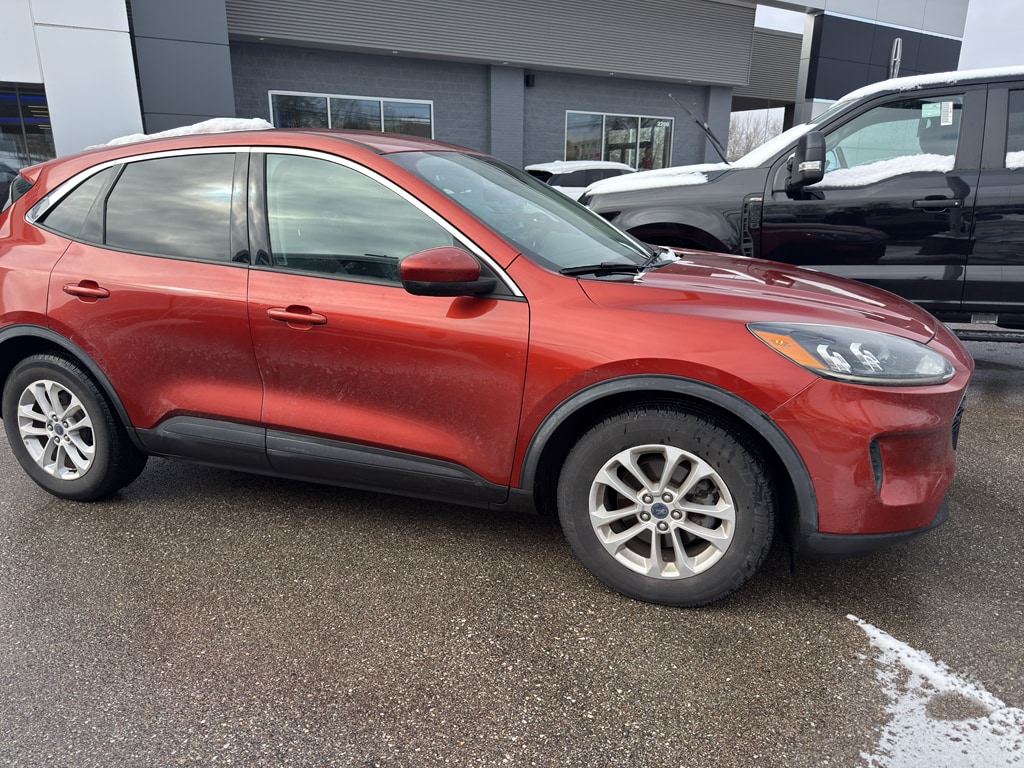 2020 Ford Escape SE's photo