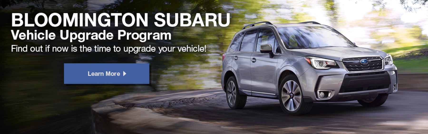 new subaru used car dealer in bloomington mn bloomington subaru