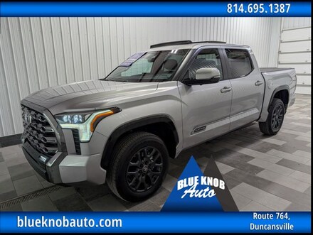 2025 Toyota Tundra Platinum Truck