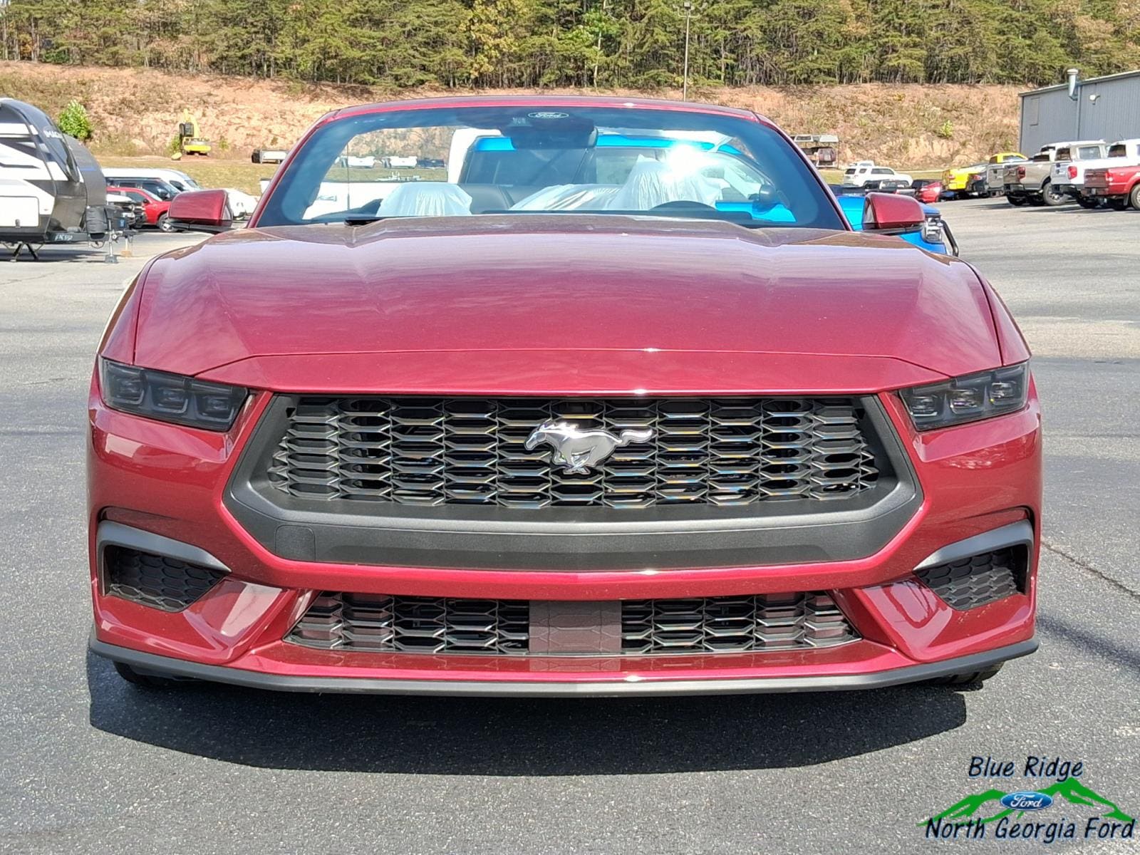2025 Ford Mustang EcoBoost Premium Convertible - Photo 8