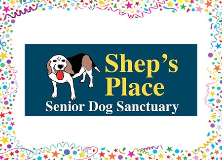 Shep's Place Senior Dog Sanctuary