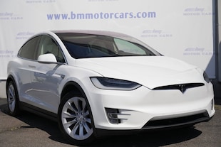 2018 Tesla Model X 100D SUV