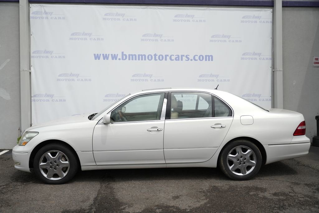 View 8