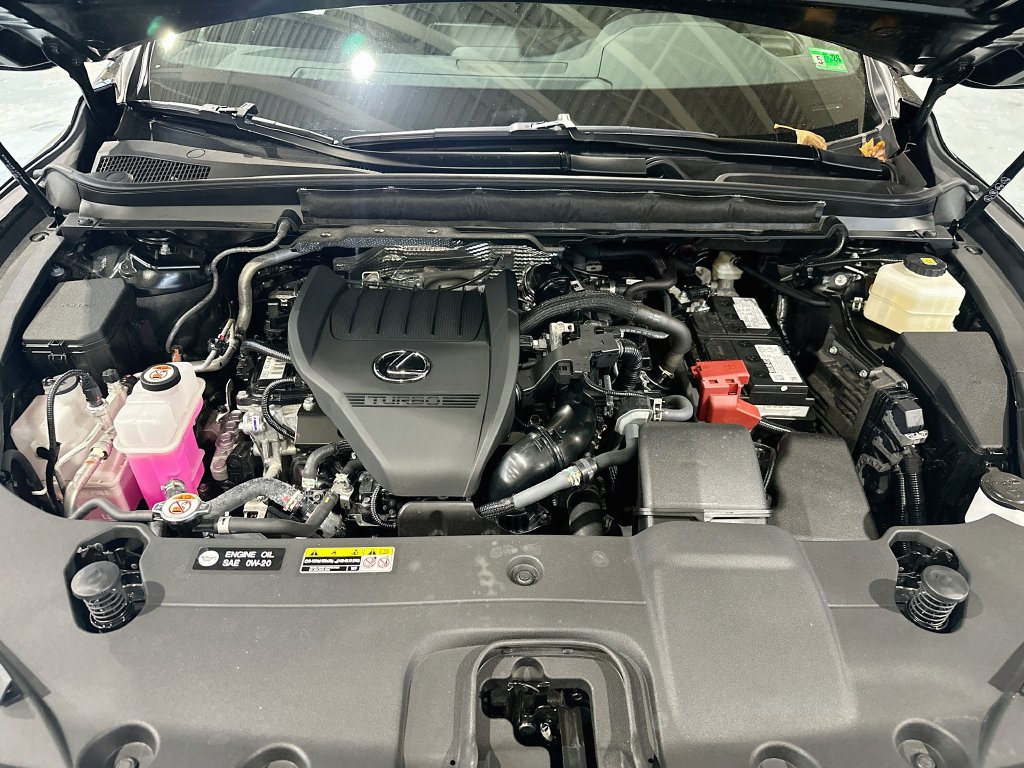 Photo 31