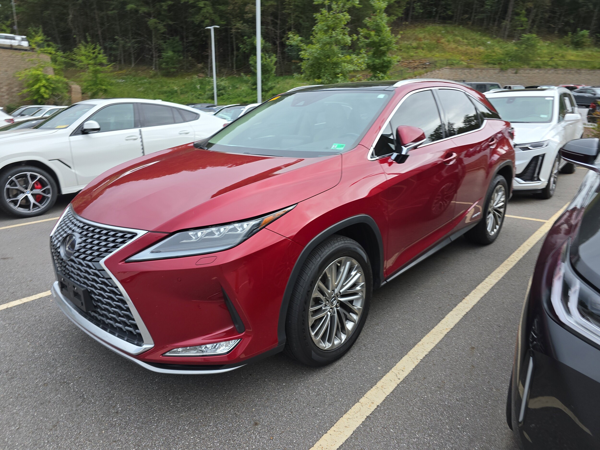 2020 Lexus RX 450h Luxury photo 4