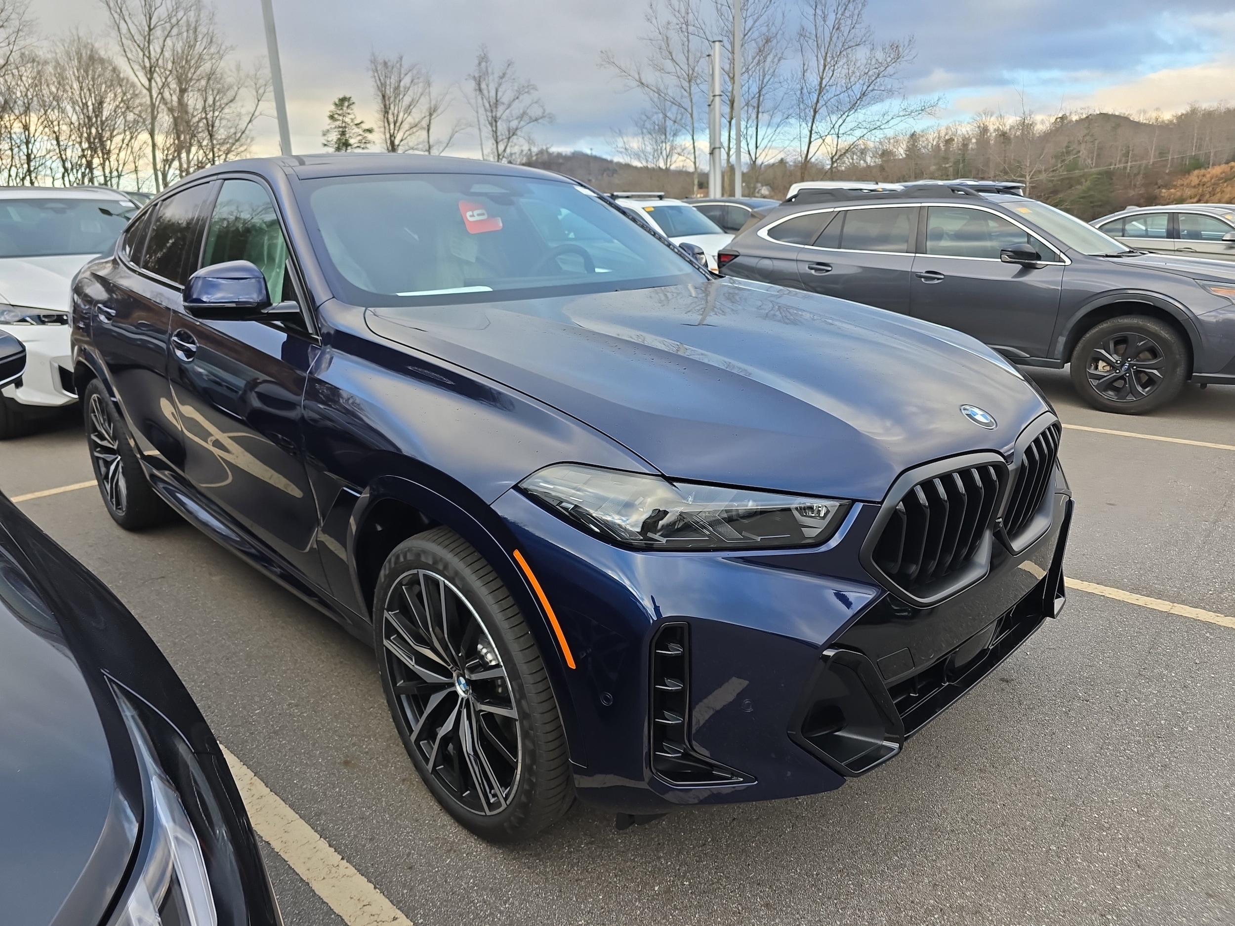 2026 BMW X6 40i's photo