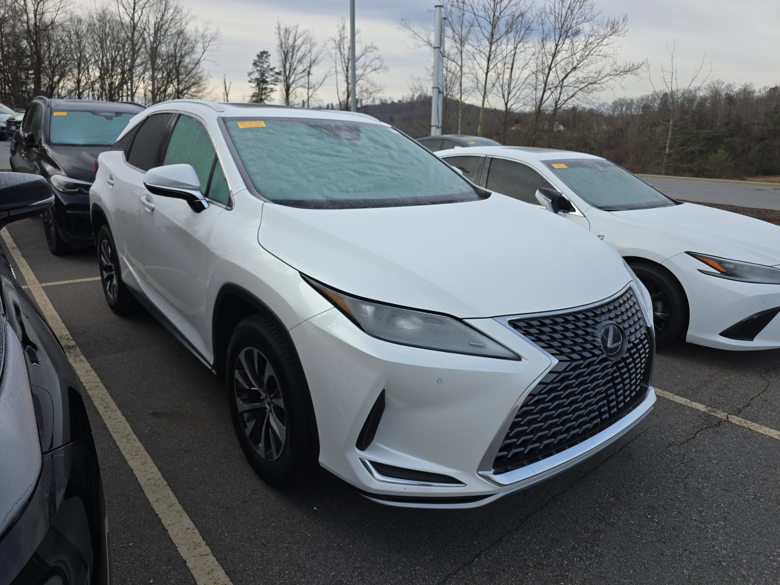 2021 Lexus RX 350's photo