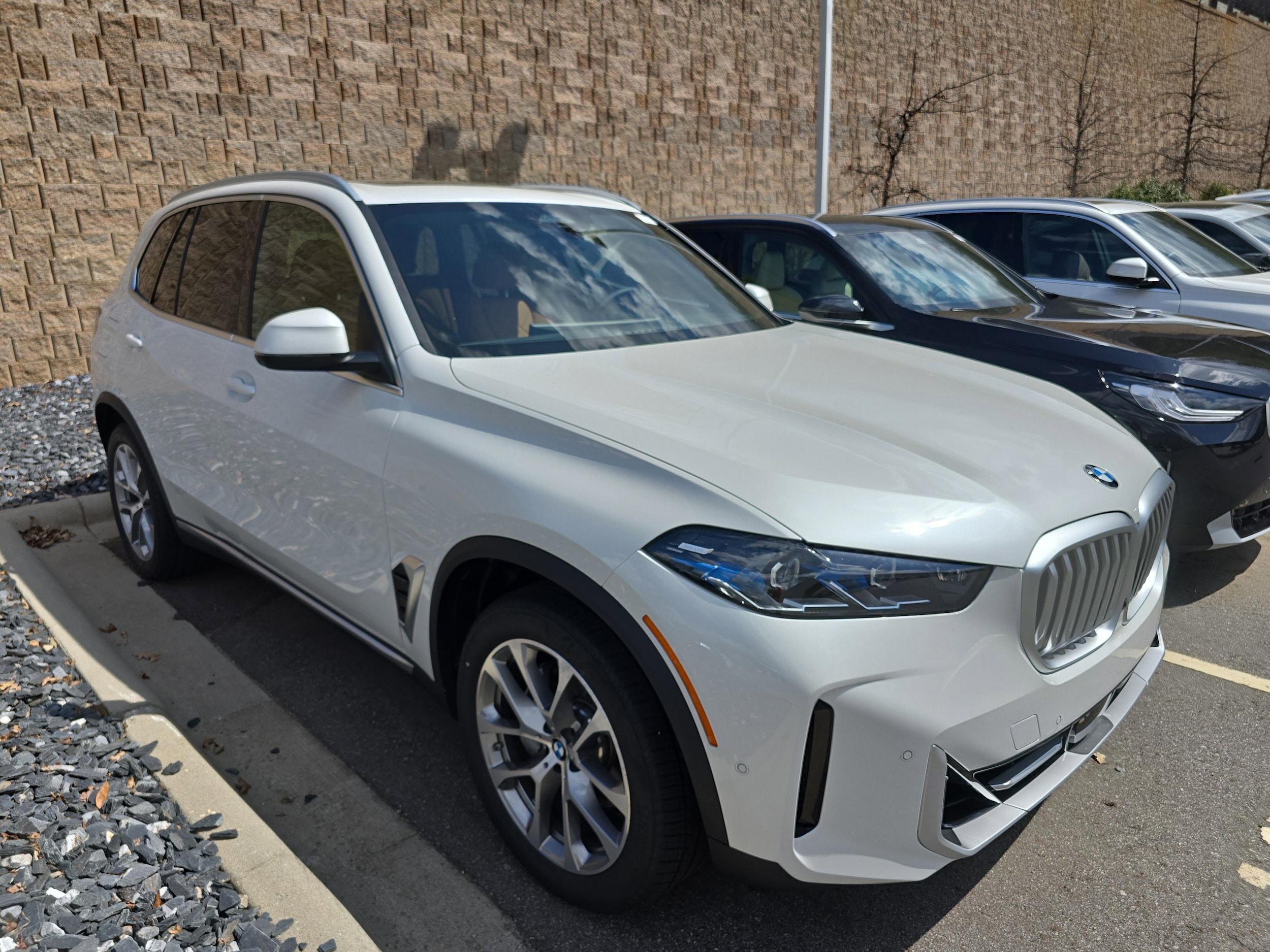 2026 BMW X5 xDrive40i's photo