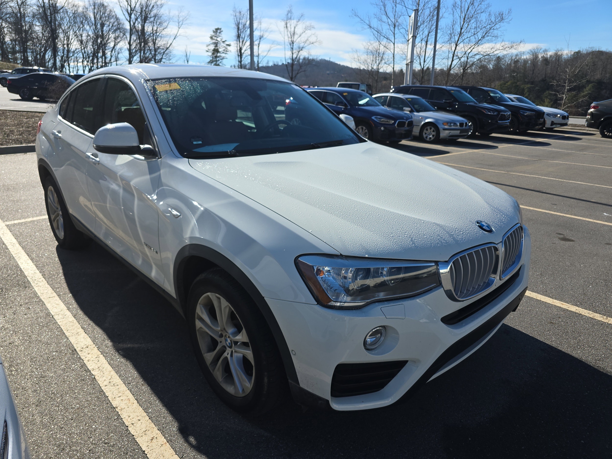 2016 BMW X4 xDrive28i's photo