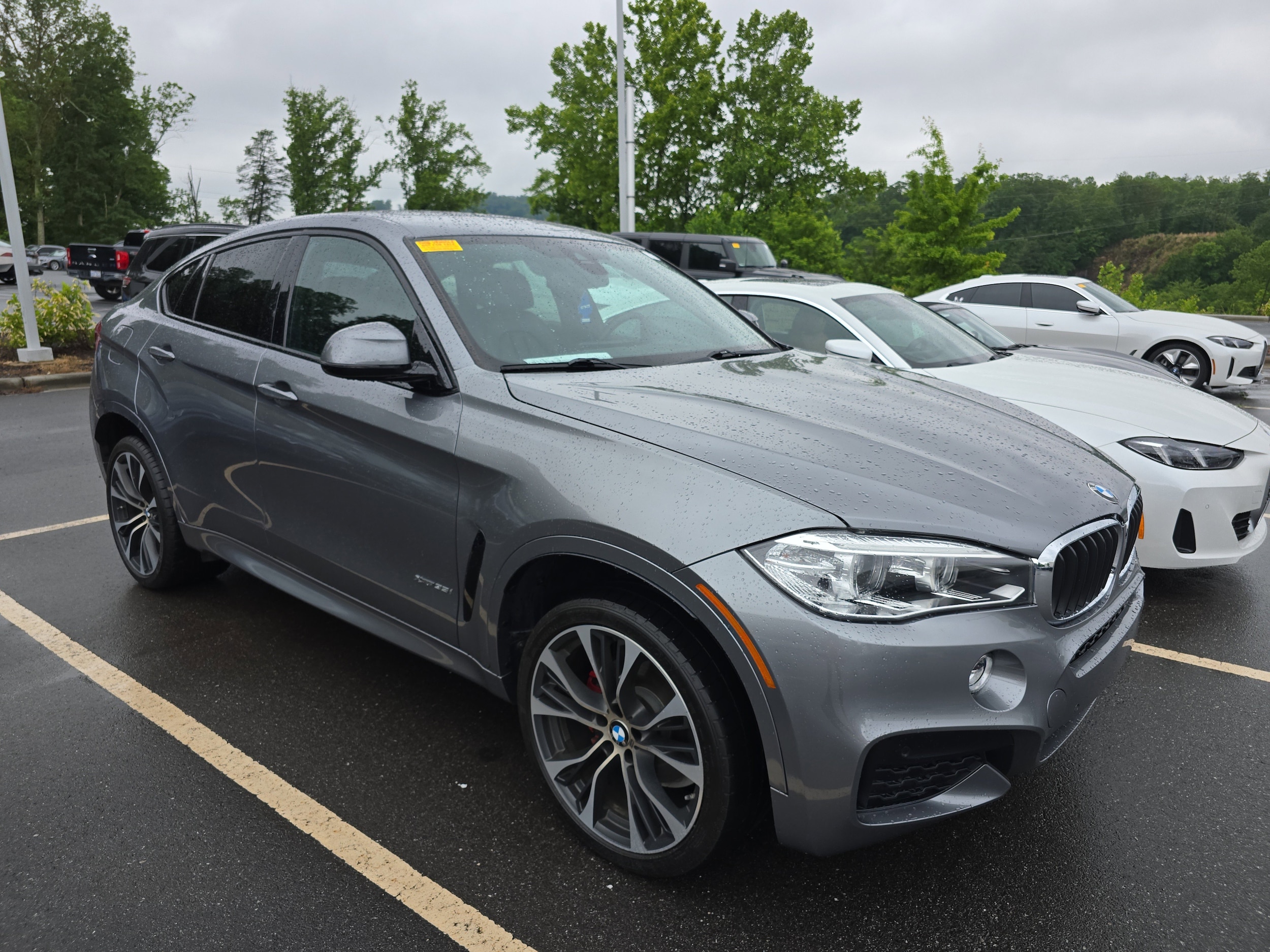 2018 BMW X6 xDrive35i's photo