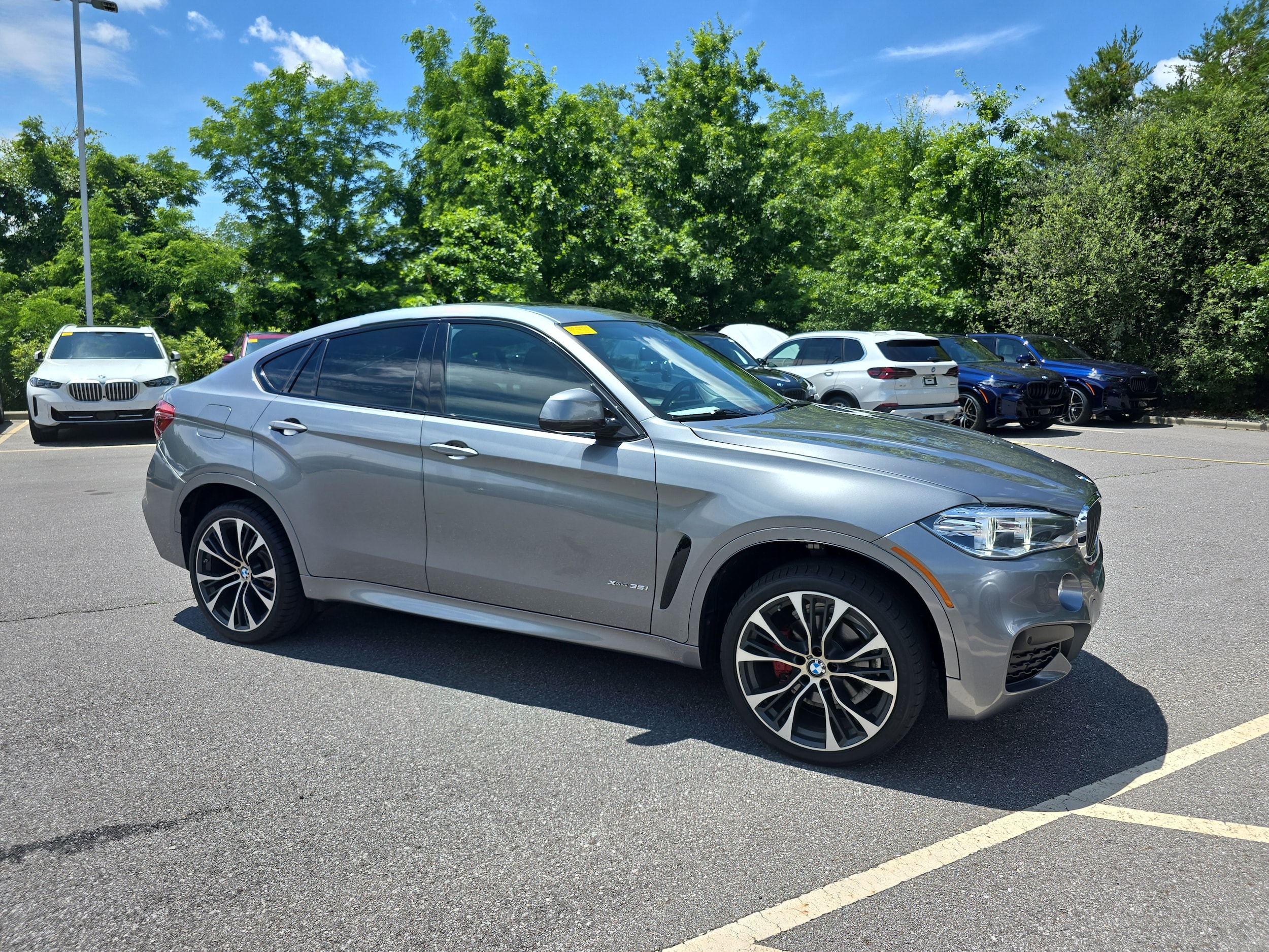 2018 BMW X6 xDrive35i's photo