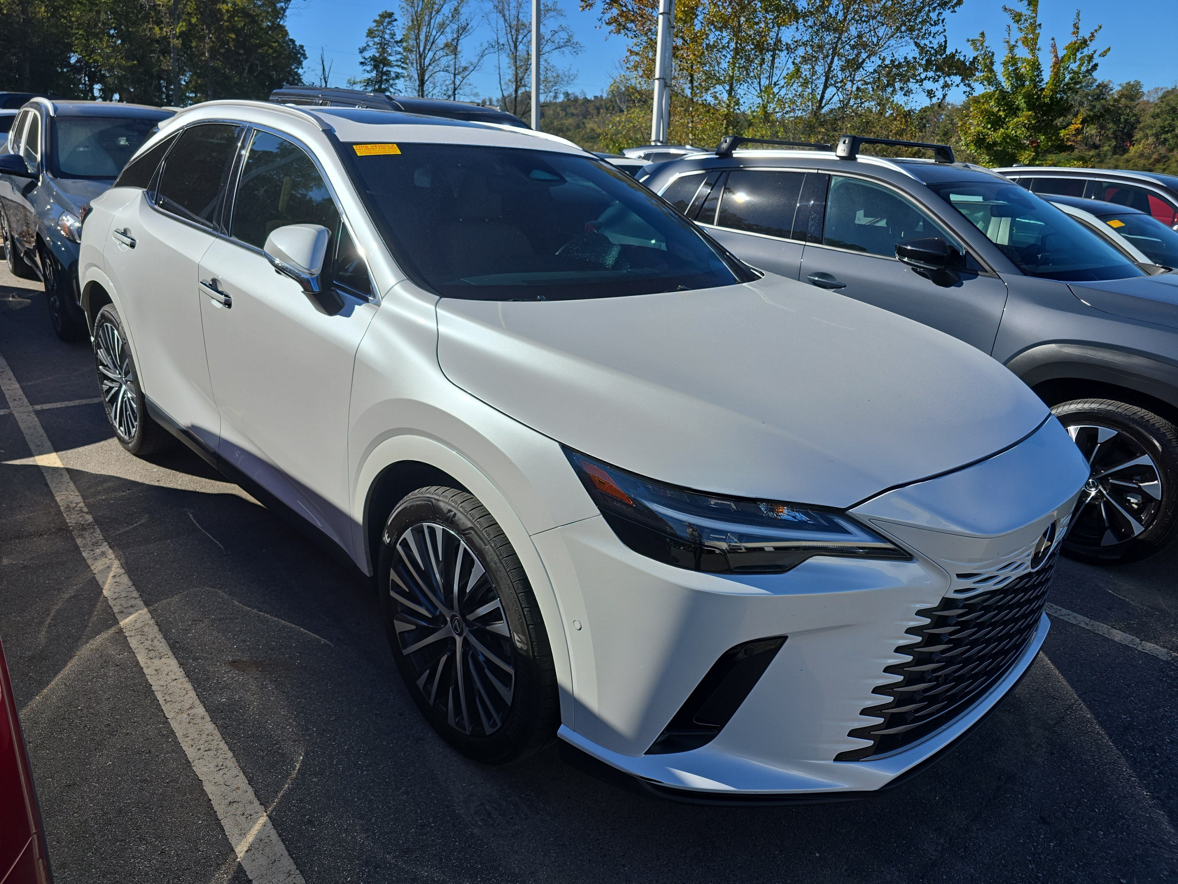 2025 Lexus RX