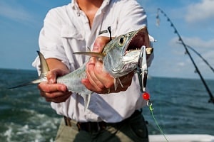 Fishing in AC