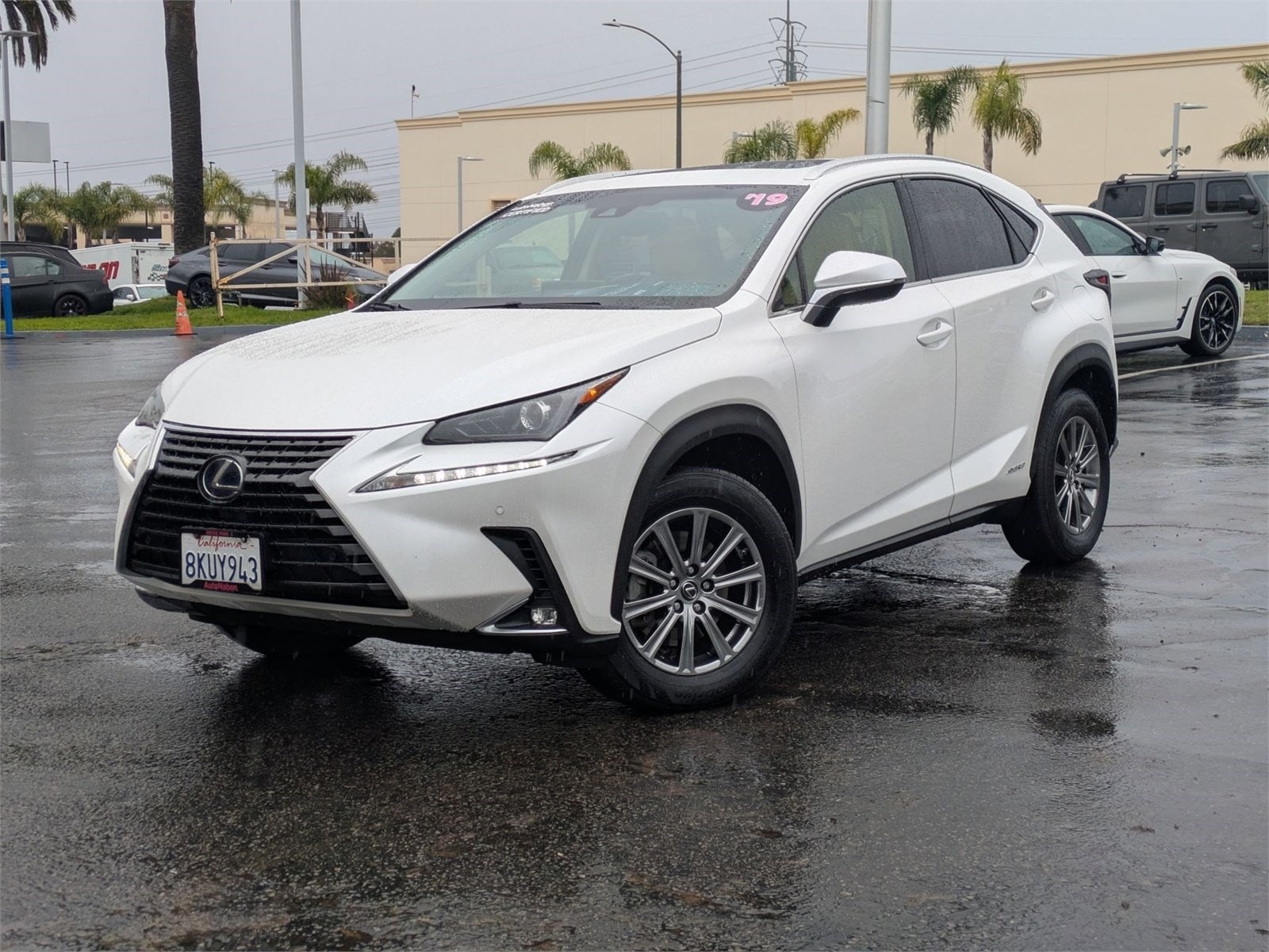 2019 Lexus NX Hybrid 300h's photo