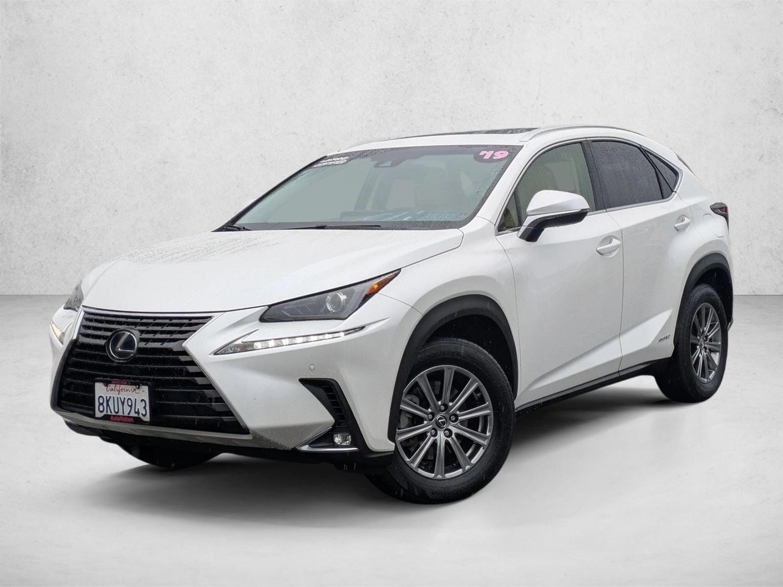 2019 Lexus NX Hybrid 300h's photo