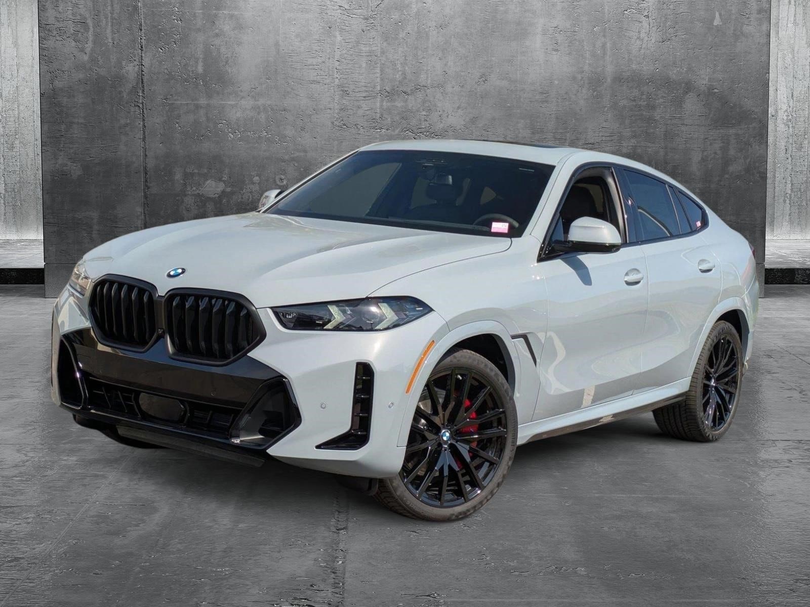 2026 BMW X6