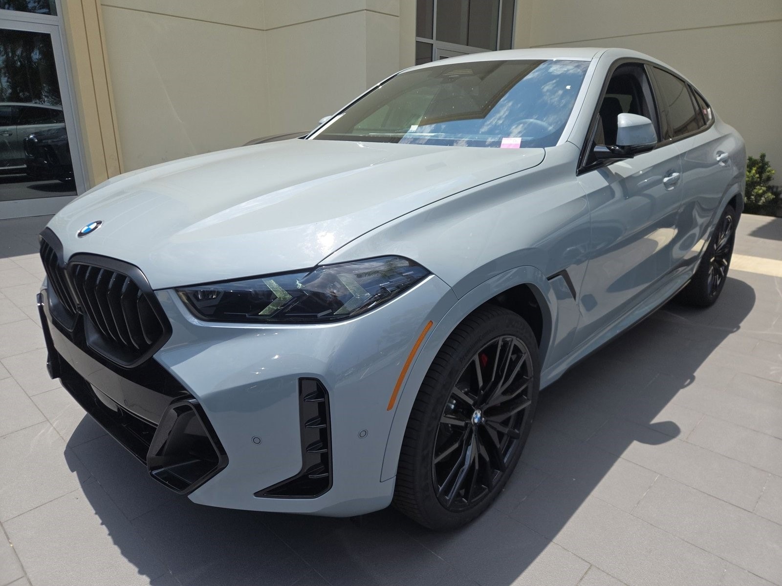2026 BMW X6