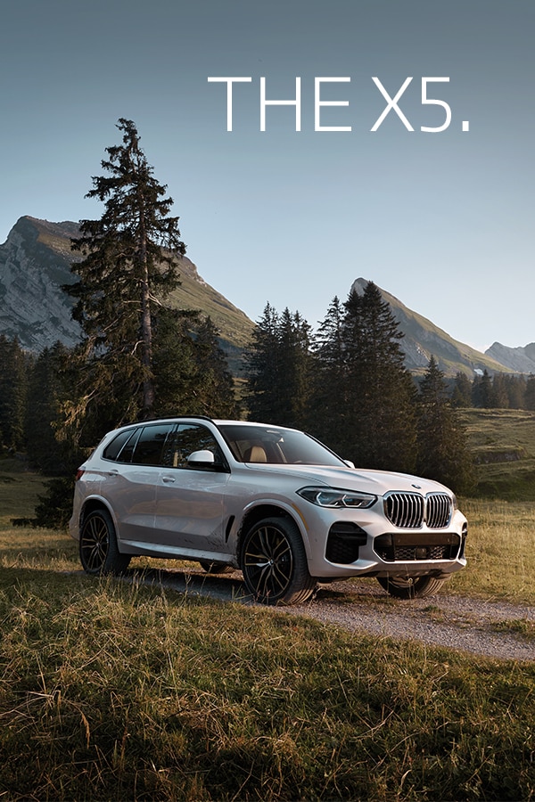 Silver X5 parked in front of trees and mountains.