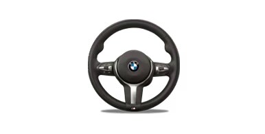 BMW steering wheel.