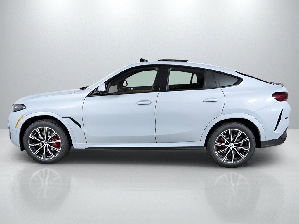 Thumbnail: 2026 BMW X6 - 18