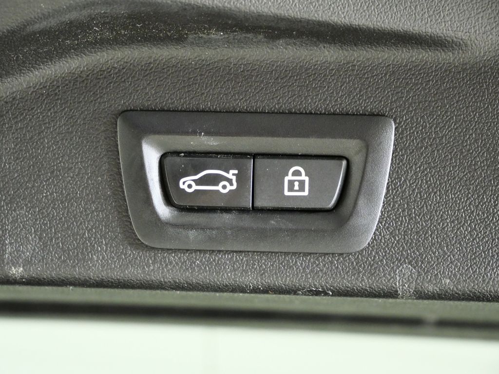 Thumbnail: 2019 BMW X5 - 30